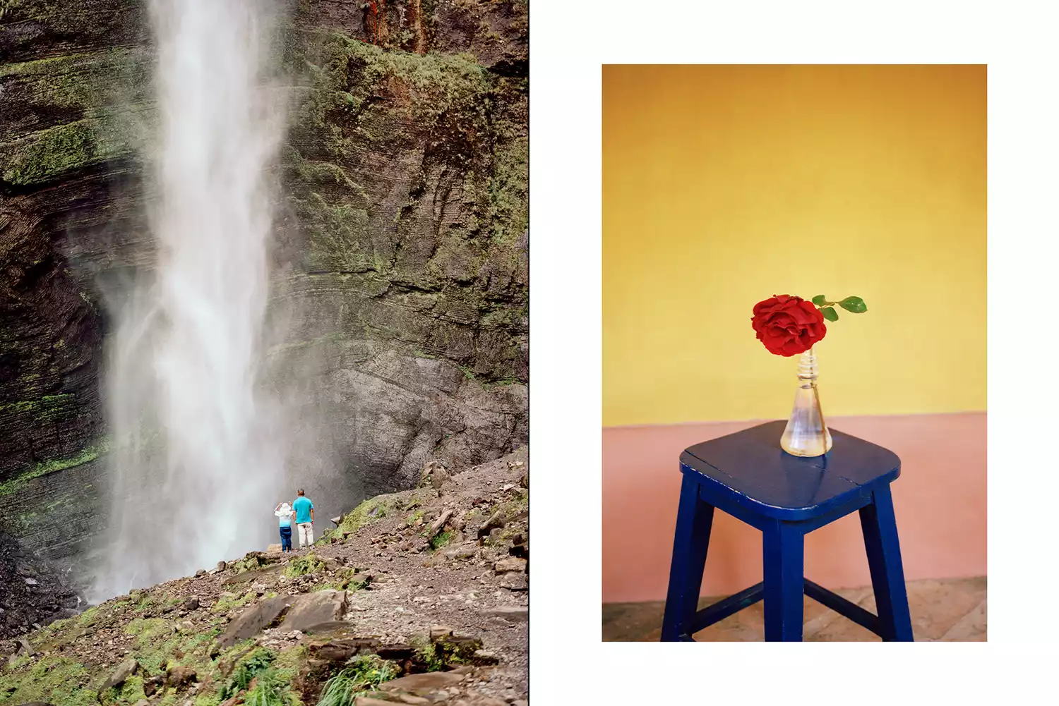 A high, thin waterfall cascading down a green cliff and a simple interior setting with a red flower.