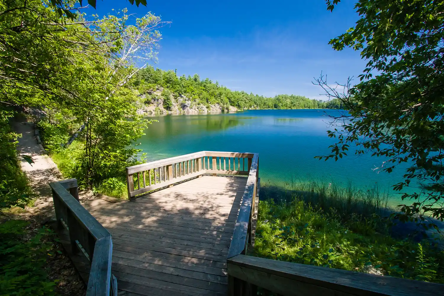 A quiet lake with still water reflecting the lush green forest of Gatineau Park.