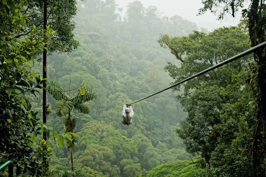 An individual ziplining over a lush, green tropical rainforest canopy at Toro Verde Eco Adventure Park.