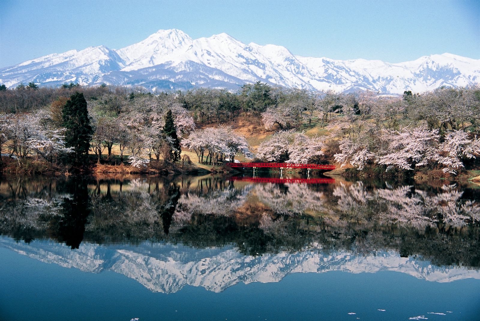 A serene outdoor scene featuring a pond and mountains in a wilderness area.