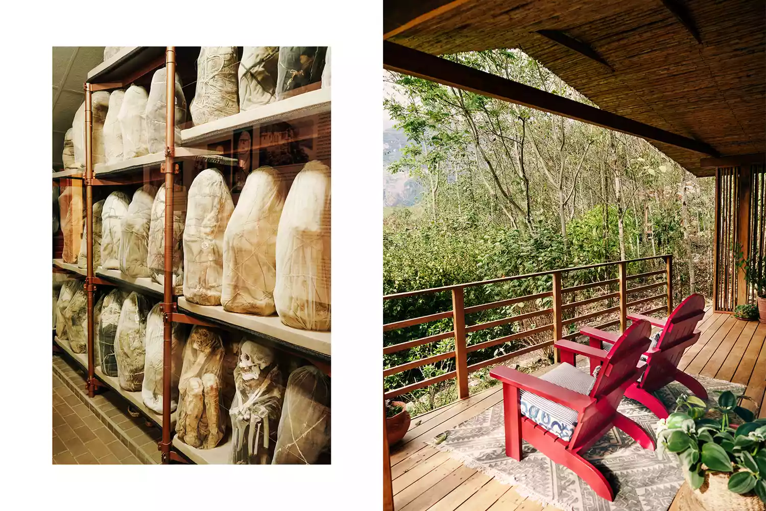 Rows of well-preserved mummies in a museum display and a red wooden deck overlooking the forest.