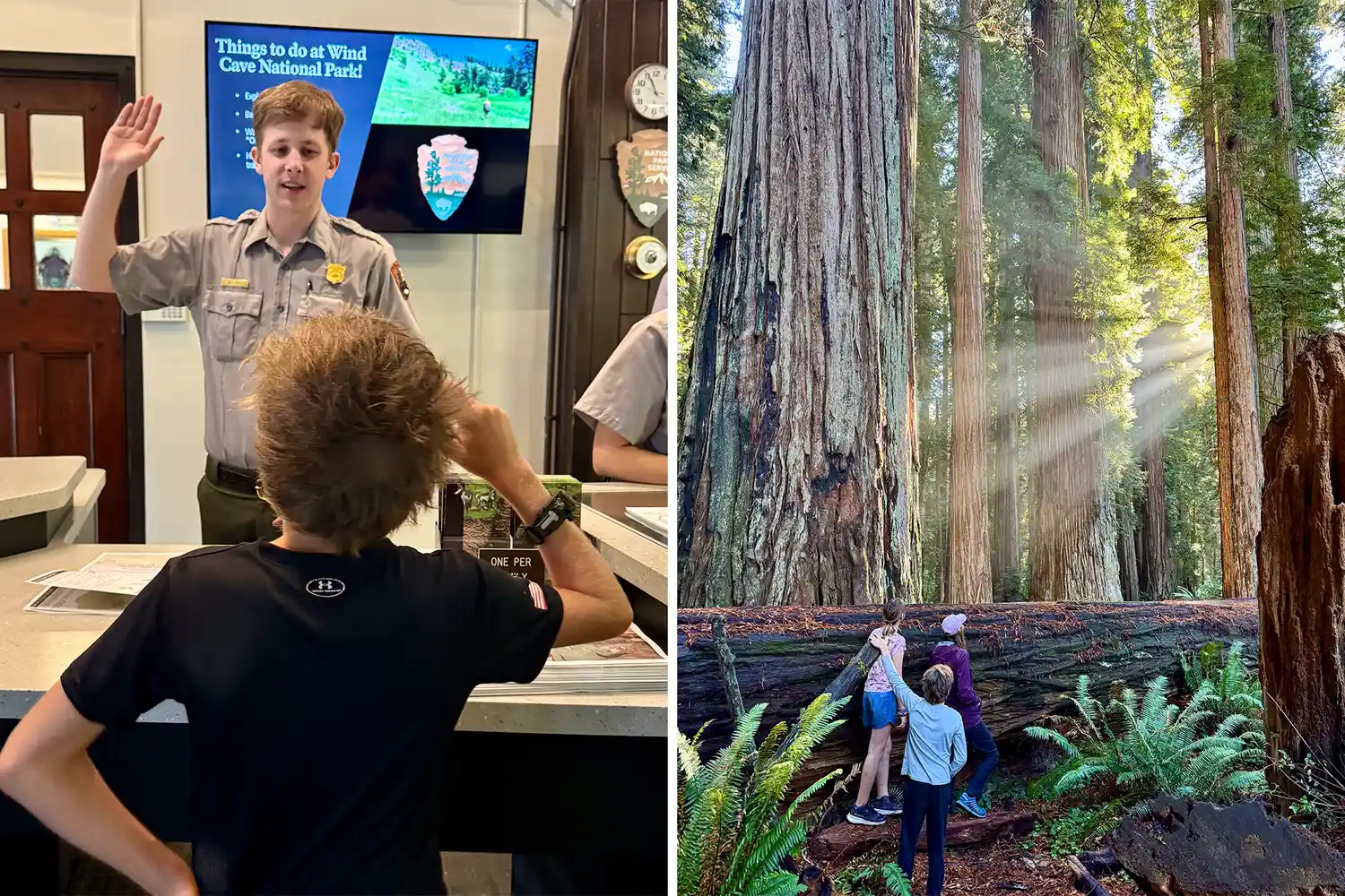 A young boy participating in a Junior Ranger program learning activity at a park visitor center.