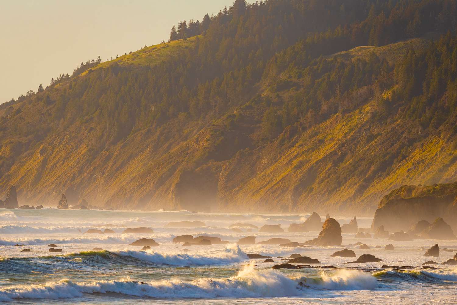 Fort Bragg California: Ultimate Coastal Escape Guide