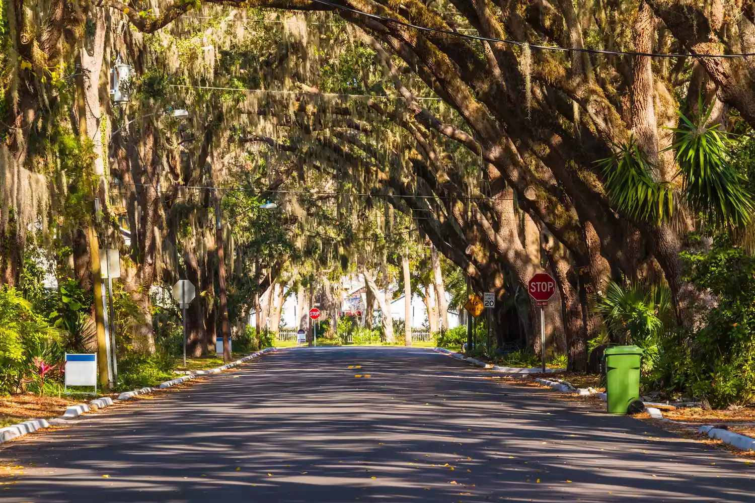 A scenic road lined with massive oak trees draped in Spanish moss in St. Augustine.