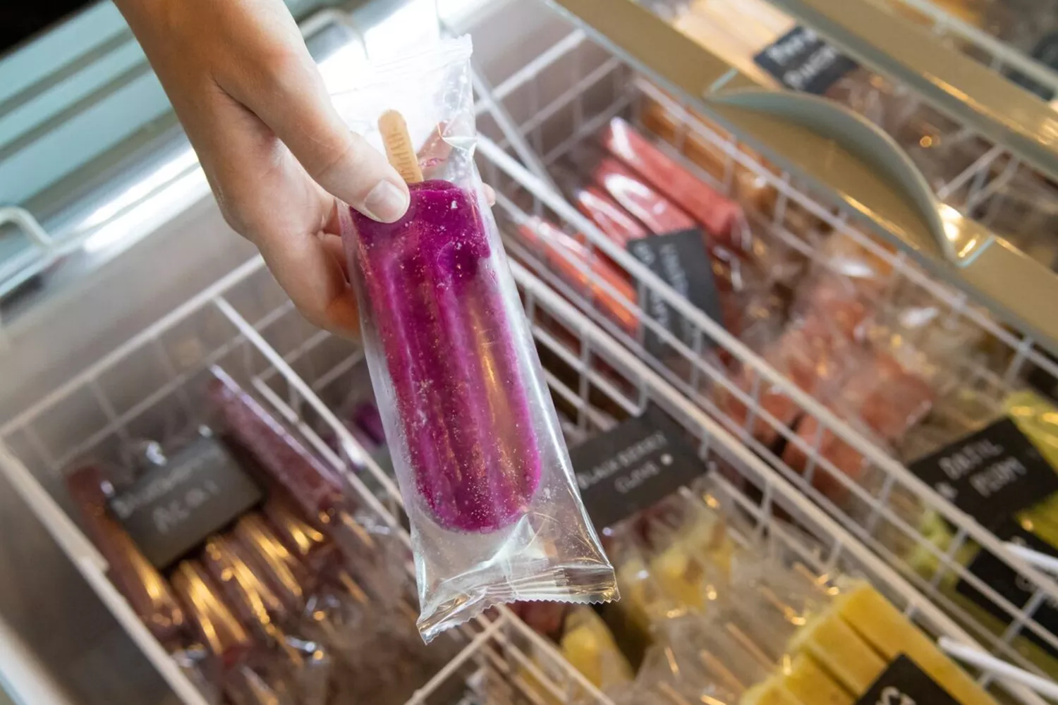 A person holding a purple Hyppo gourmet fruit pop in front of a cooler.