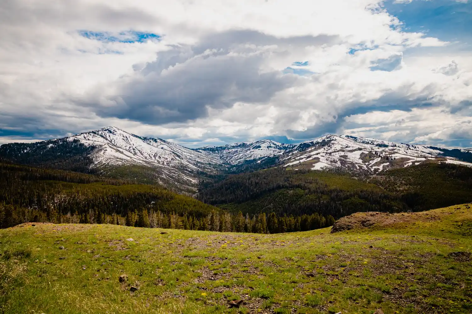 A wide-angle view of snow-capped mountains and forested valleys in Yellowstone National Park under a dynamic sky.