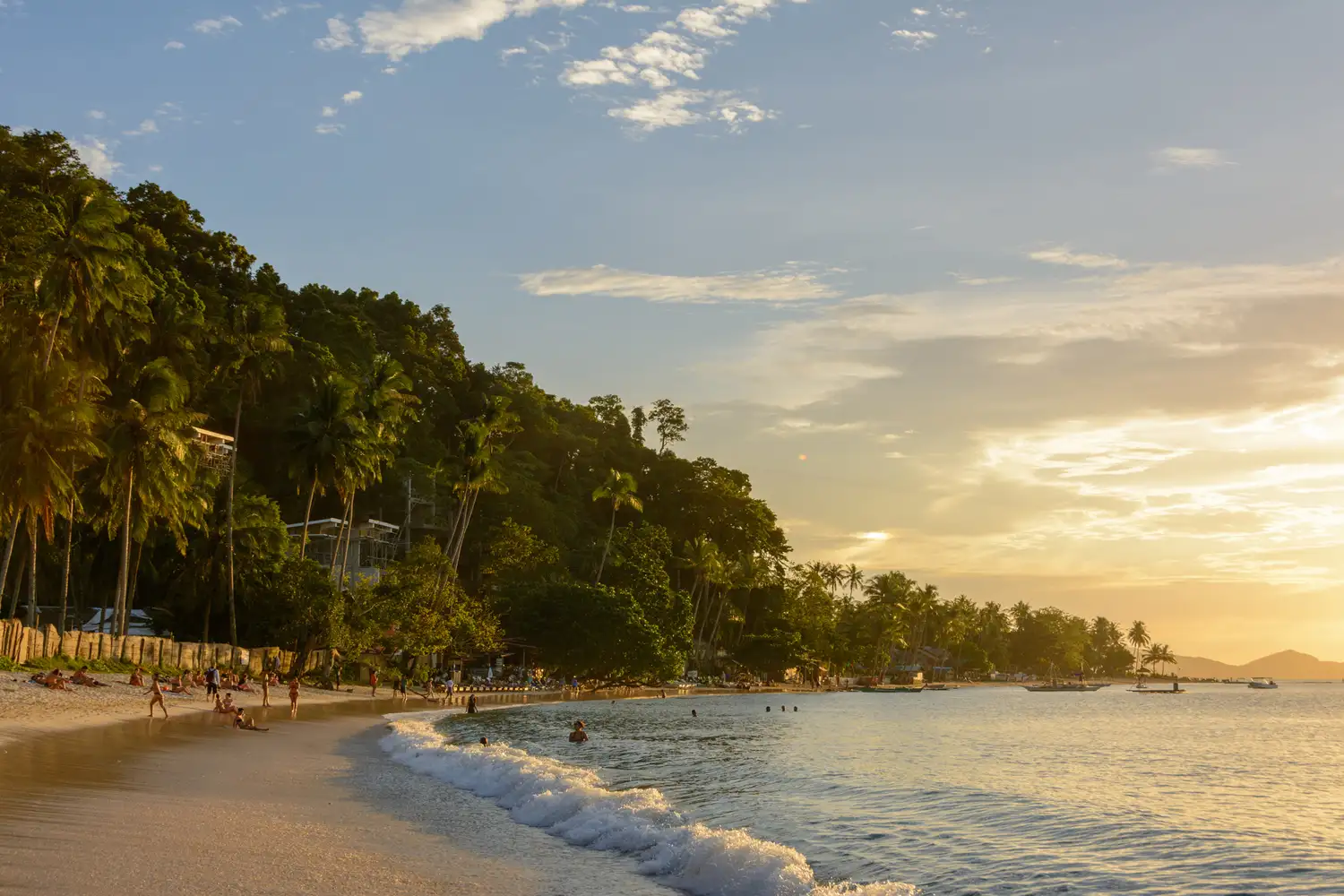 Leaning palm trees on a tropical beach in Palawan under a sunset sky.