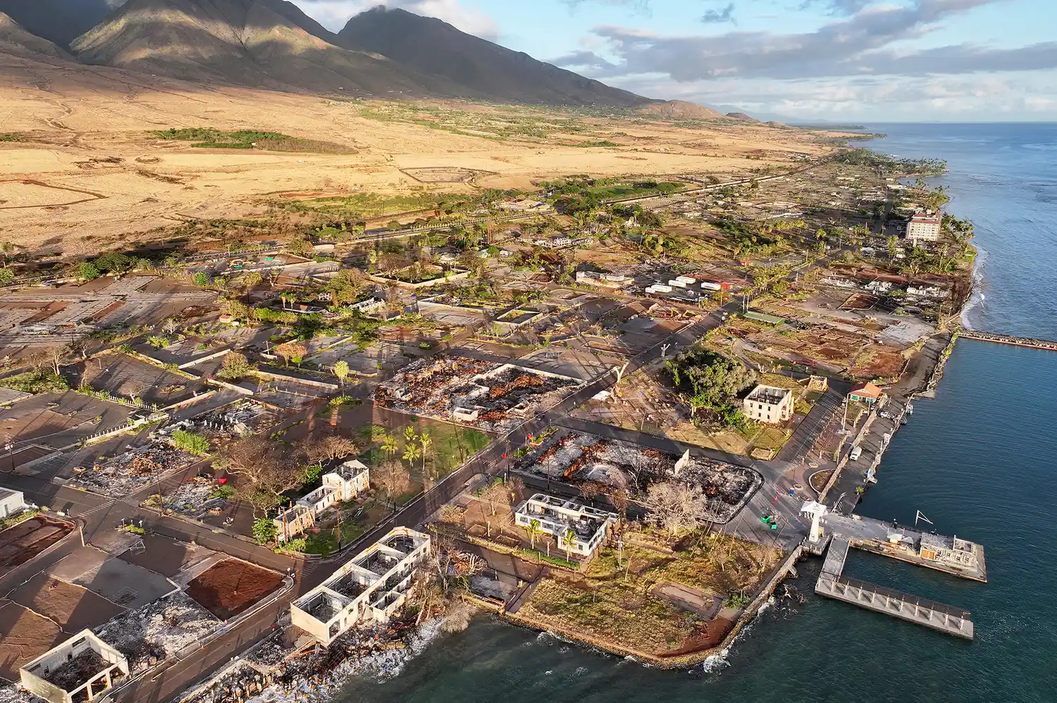 Aerial view of Lahaina's coastline where green vegetation is reclaiming land once damaged by wildfire.