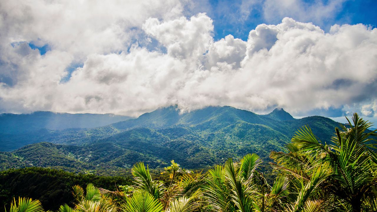 25 Best Puerto Rico Activities: The Ultimate Guide