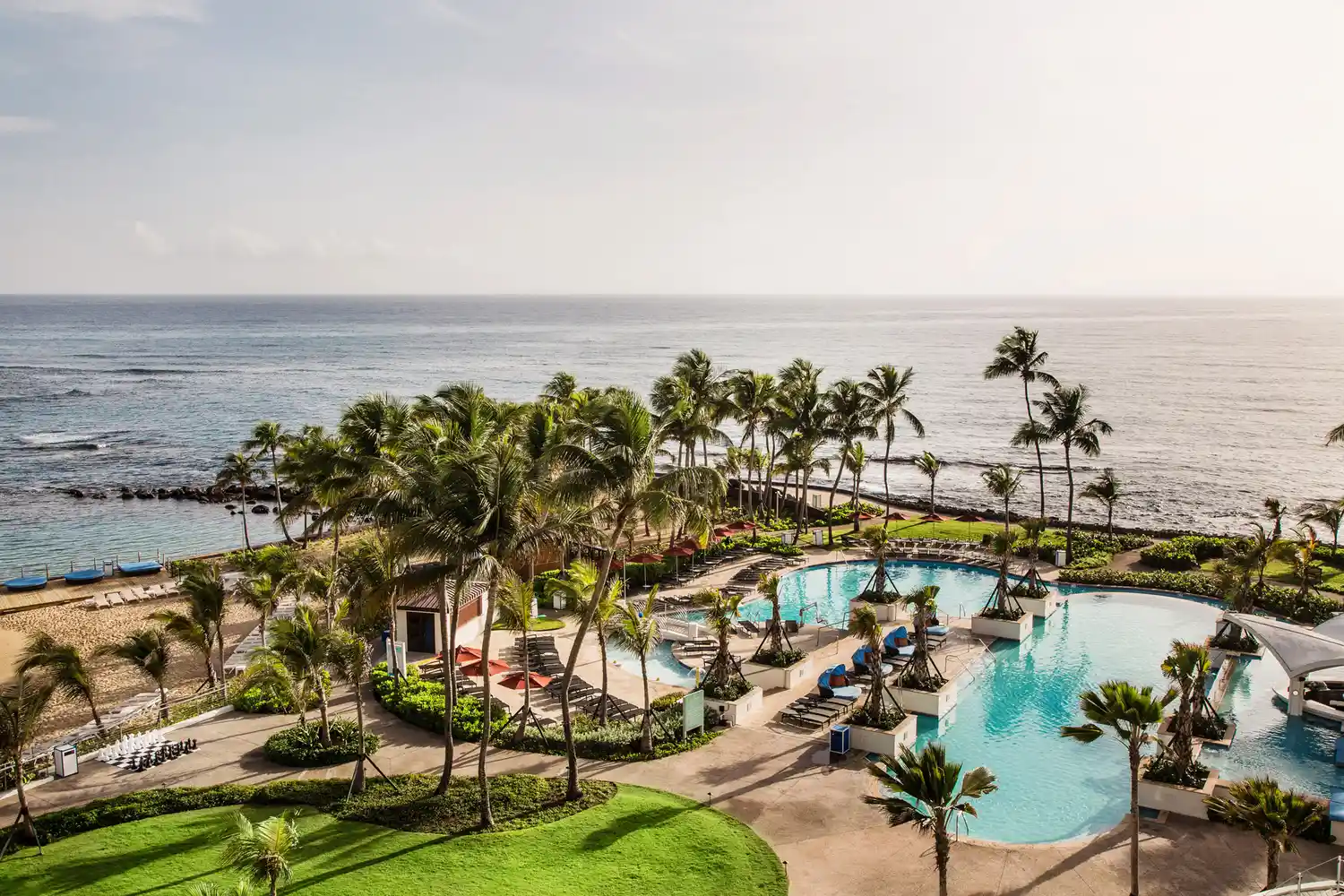 Aerial shot of the circular swimming pool area at the Caribe Hilton surrounded by palm trees.