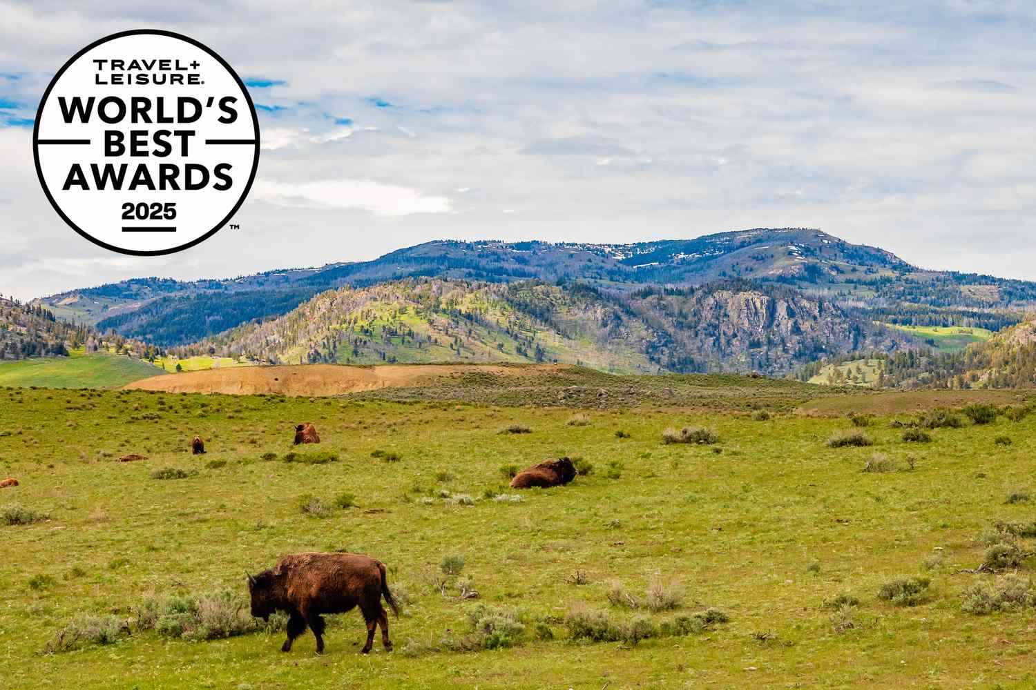 A scenic overview of a premier United States National Park as part of the 2026 rankings.