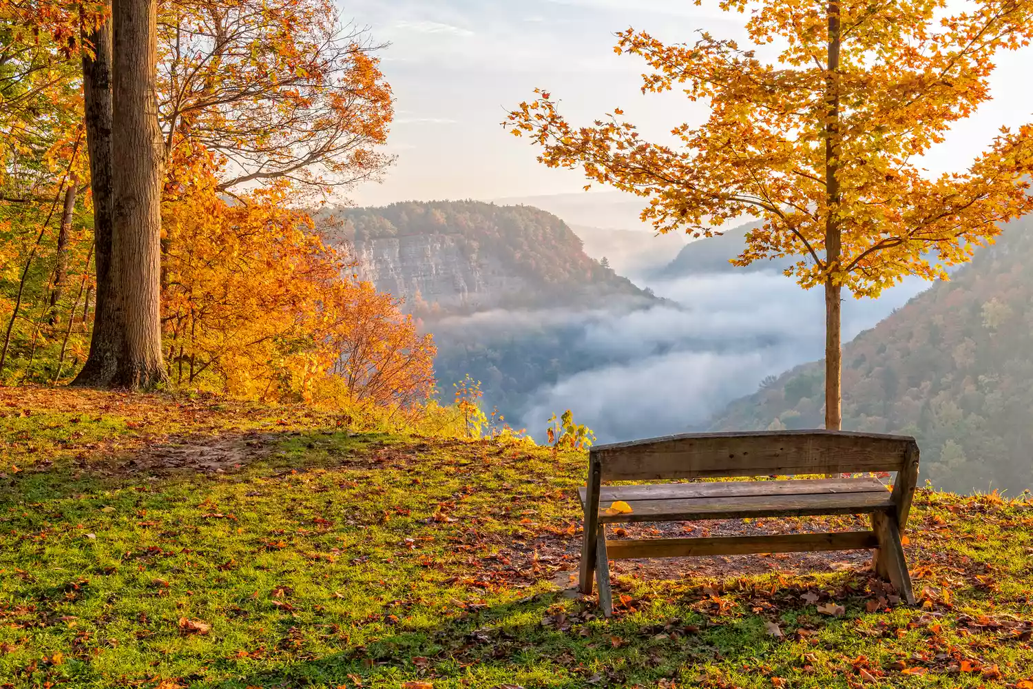 A lone park bench sitting on a cliff edge overlooking the canyon during autumn.