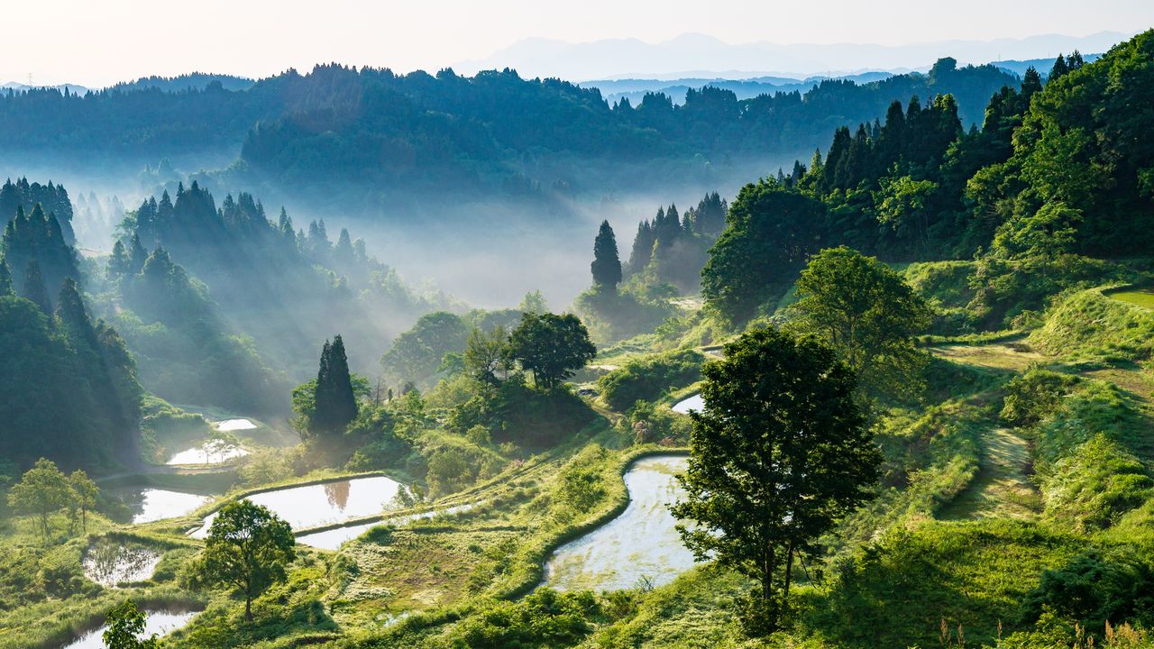 Niigata Travel Guide: Explore Japan’s Sake Heartland