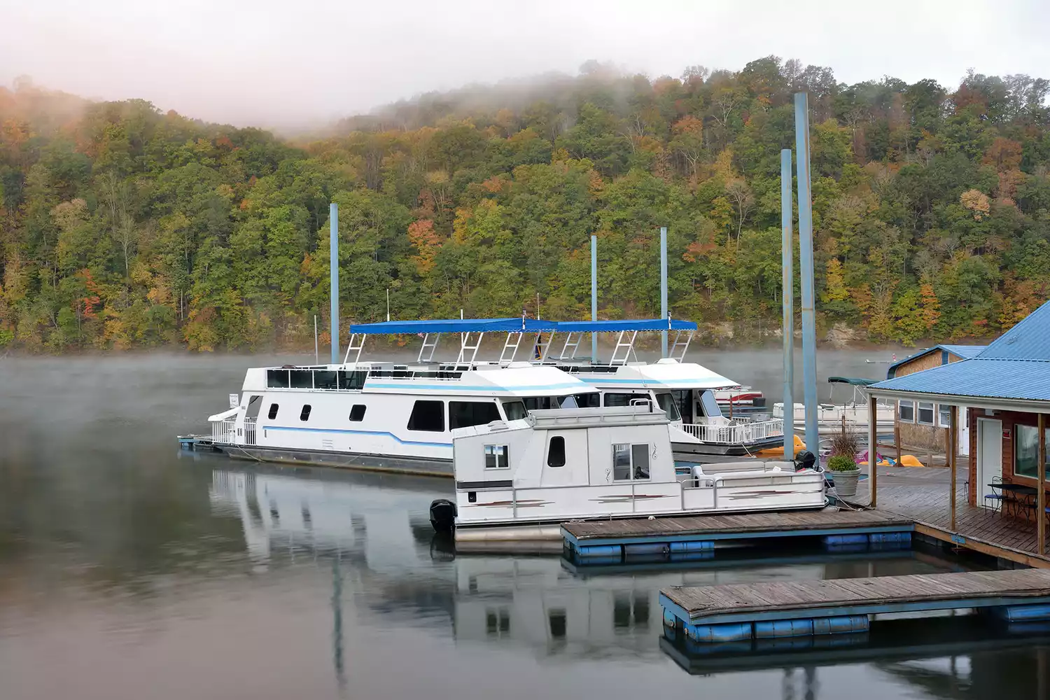 A cluster of recreational boats and houseboats moored together at a marina on Sutton Lake.