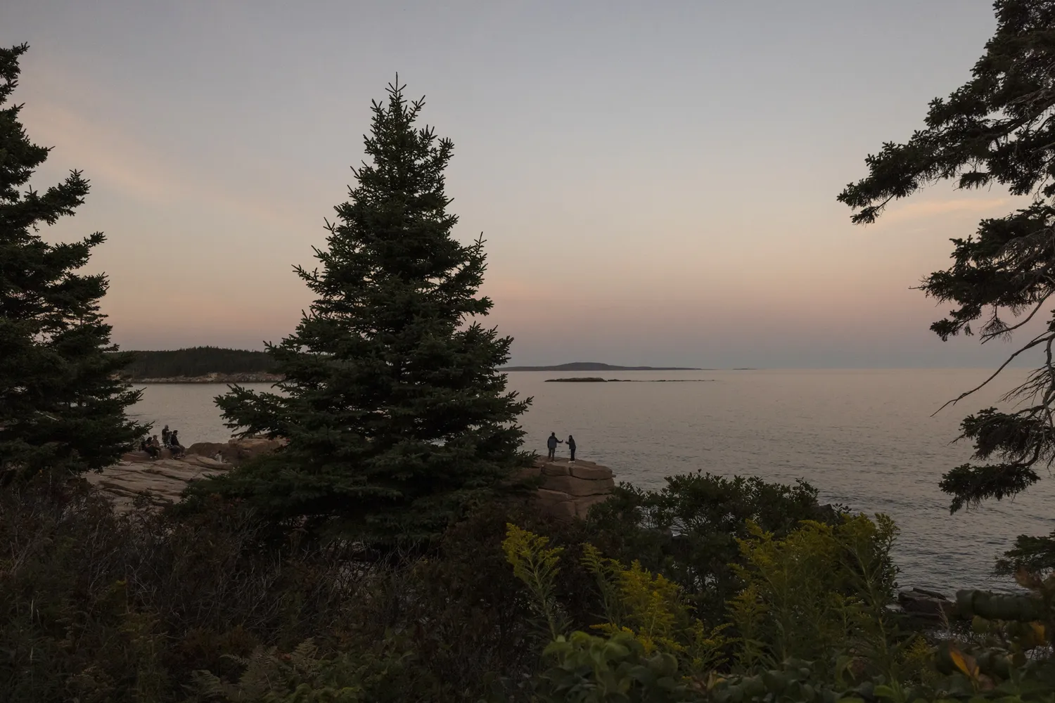 Silhouetted trees and people on a rocky coast at dusk overlooking water.