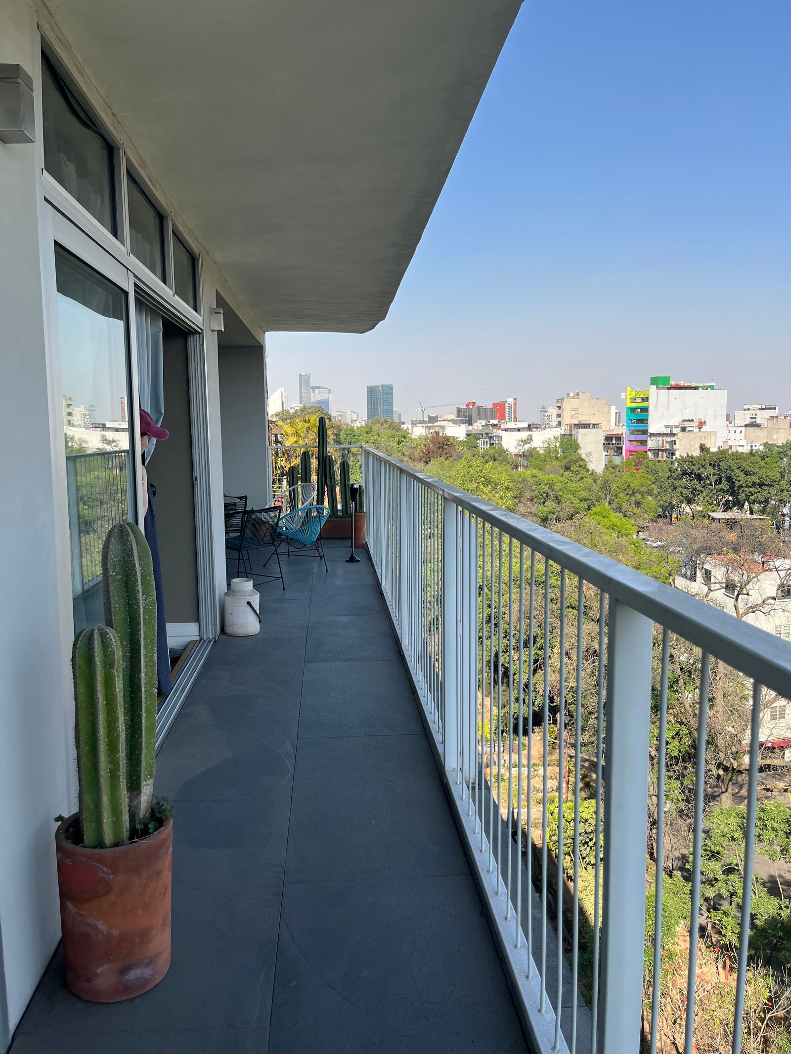 Lush green plants on a balcony of a historic Art Deco building in the Condesa neighborhood.