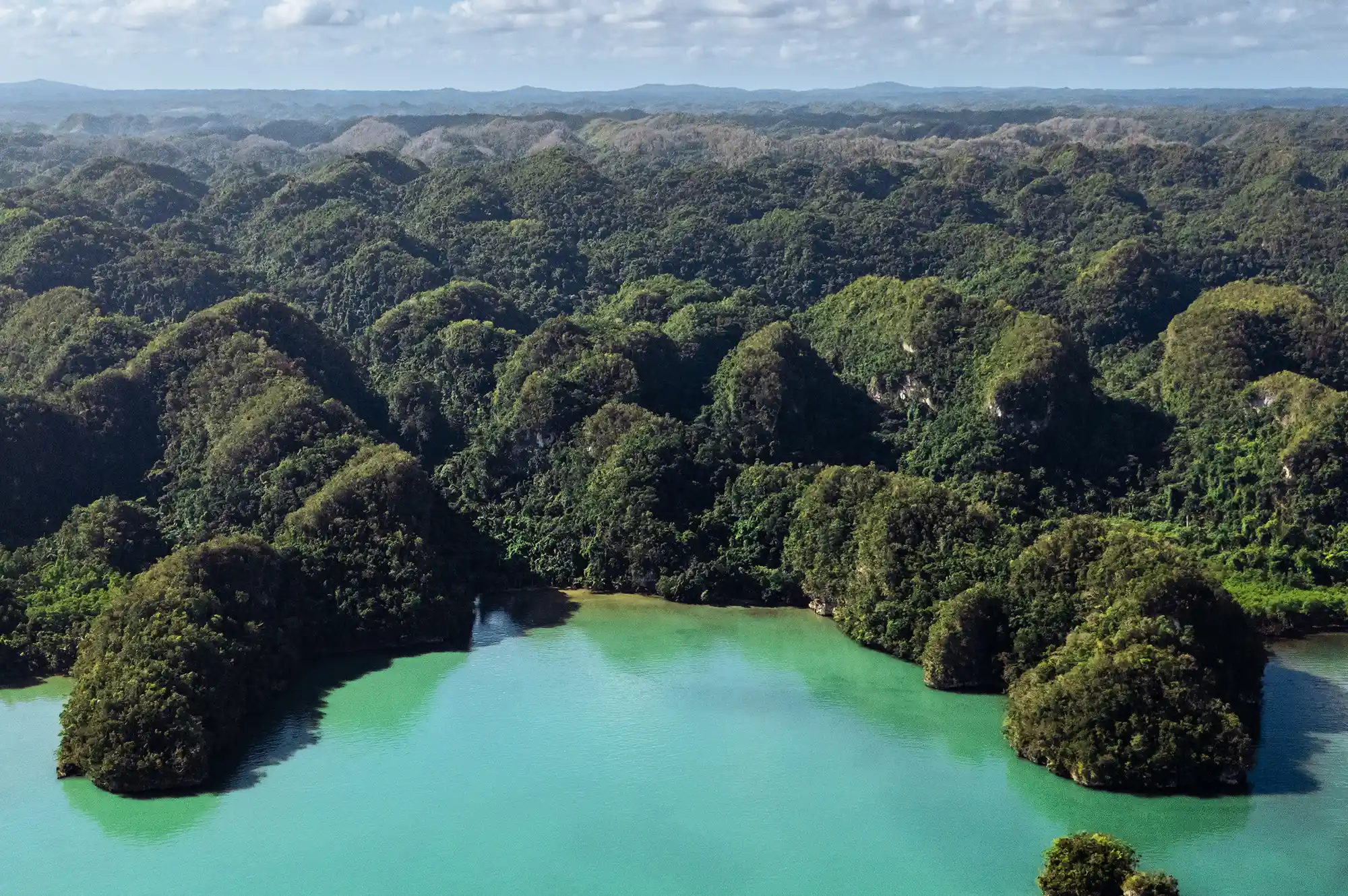 Aerial view of dense tropical forest and mountainous coastal terrain.