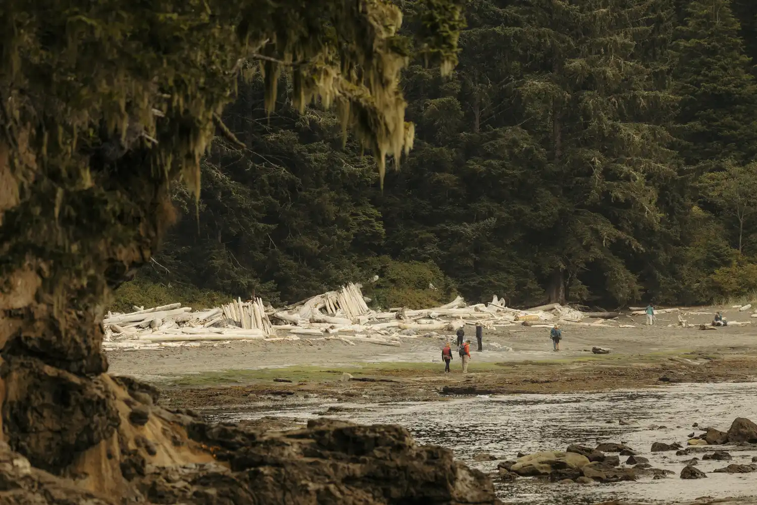 Travelers exploring a rocky beach with driftwood and a dense forest background in Vancouver Island.