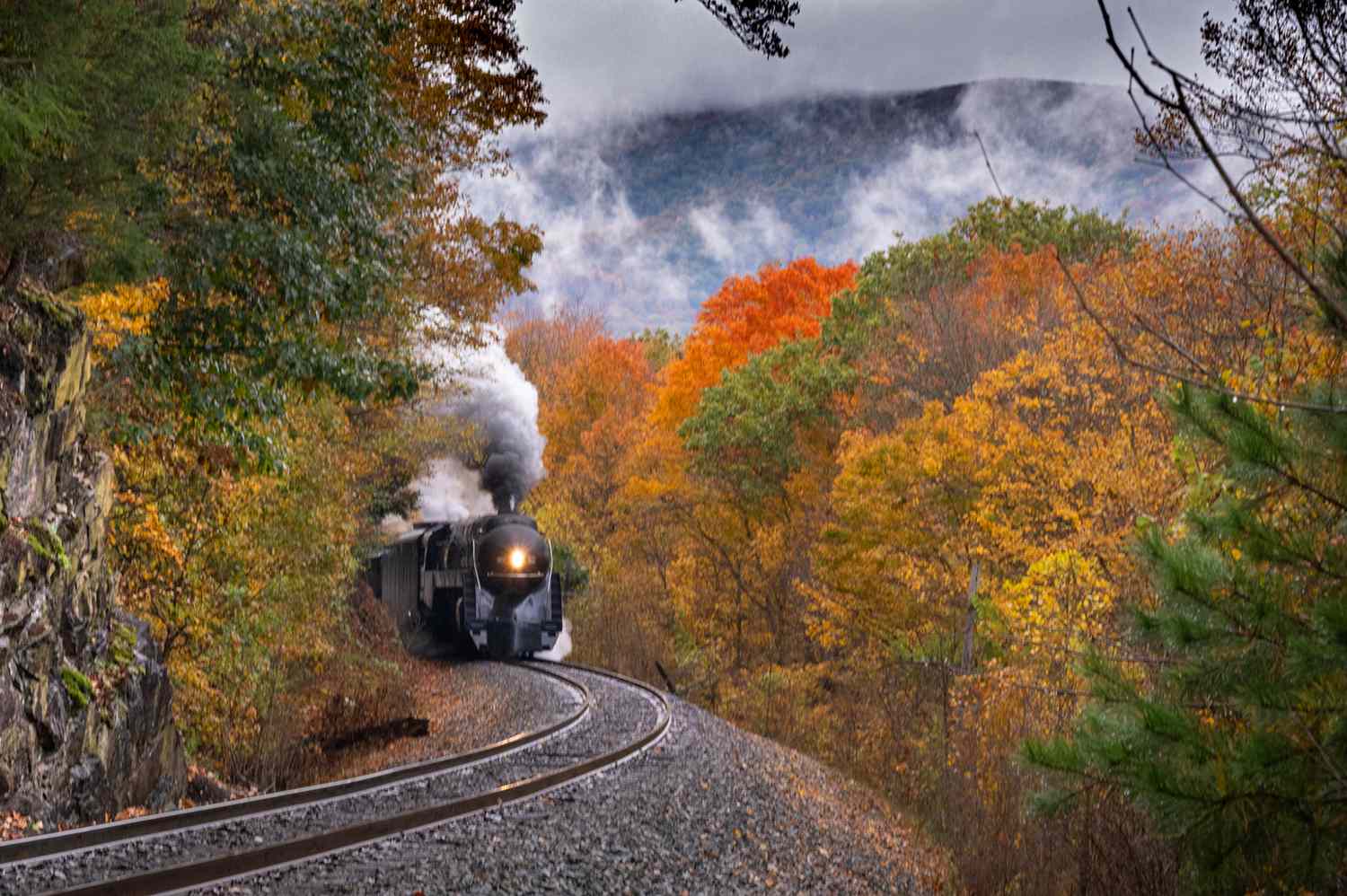 The Shenandoah Valley Limited train winding through a dense forest with peak autumn colors.