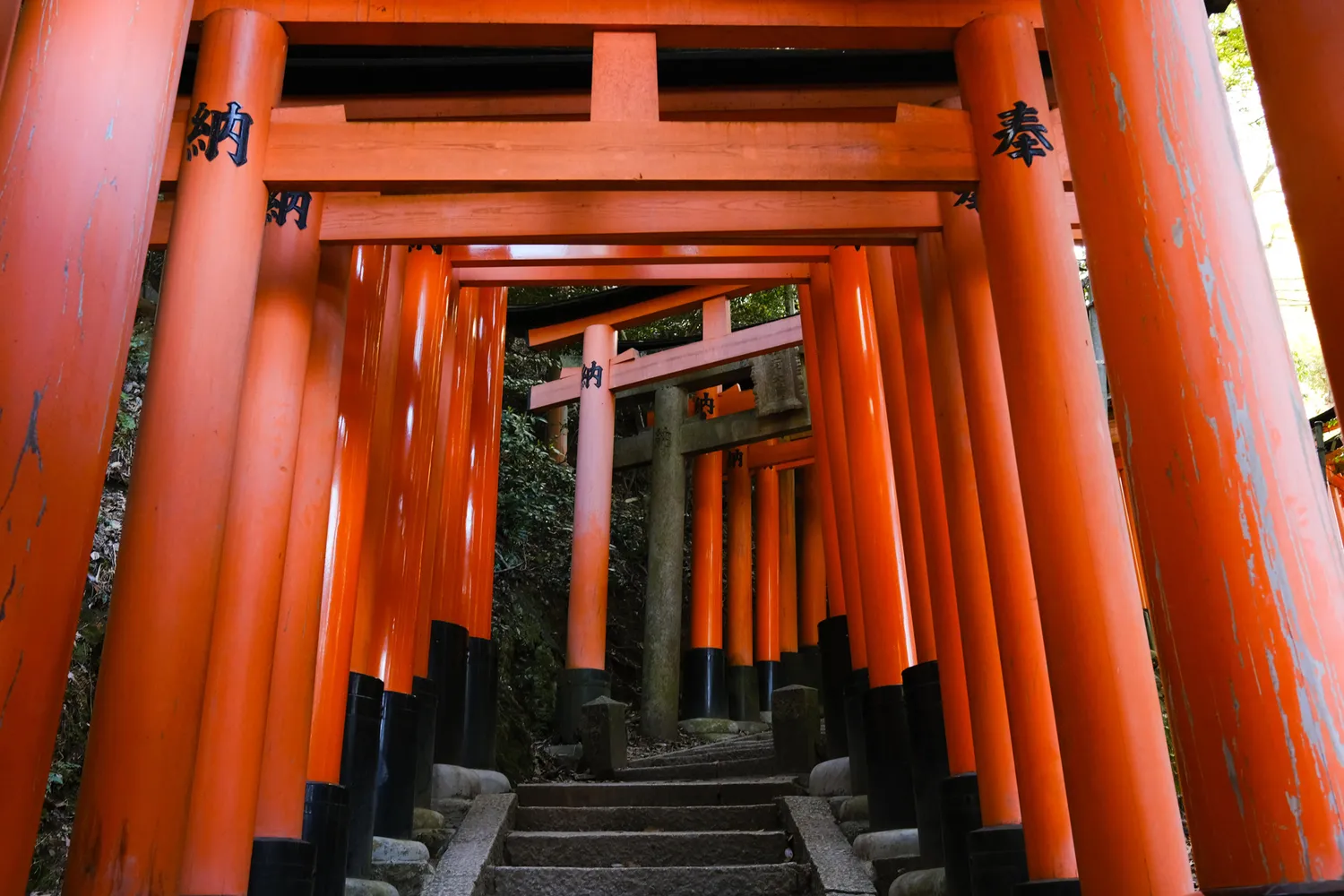 An empty stone path leading through iconic red torii gates in the Fushimi district.