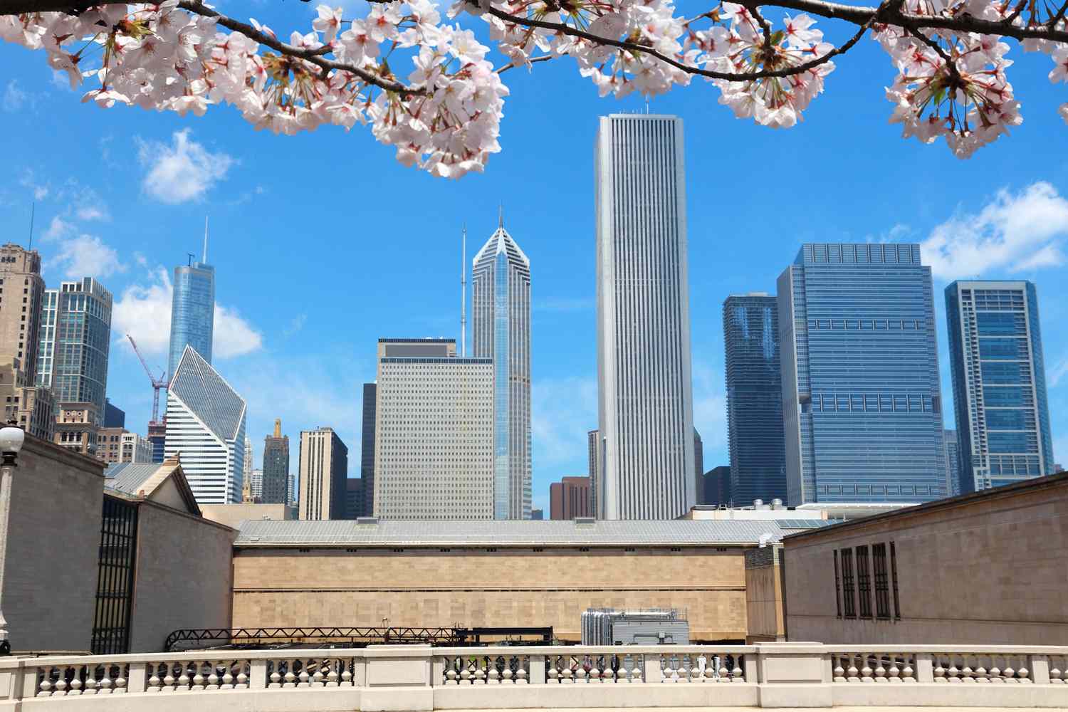 10 Historic US Cherry Blossom Destinations to Visit