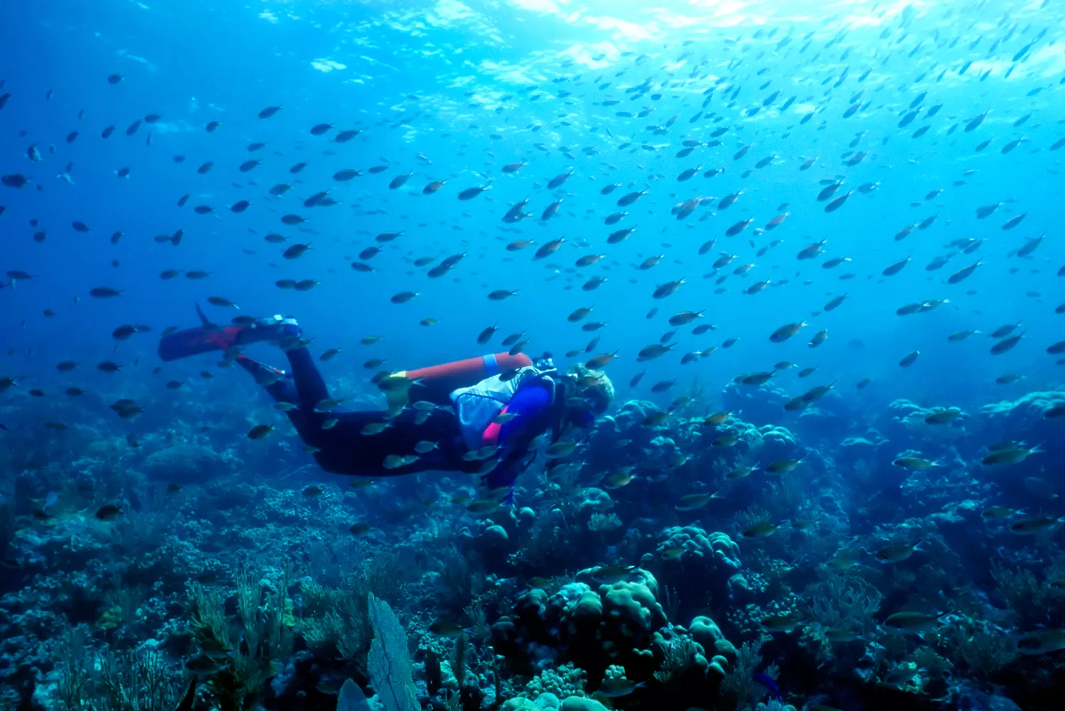 A woman scuba diving near a vibrant coral reef in the crystal clear waters of St. Vincent.