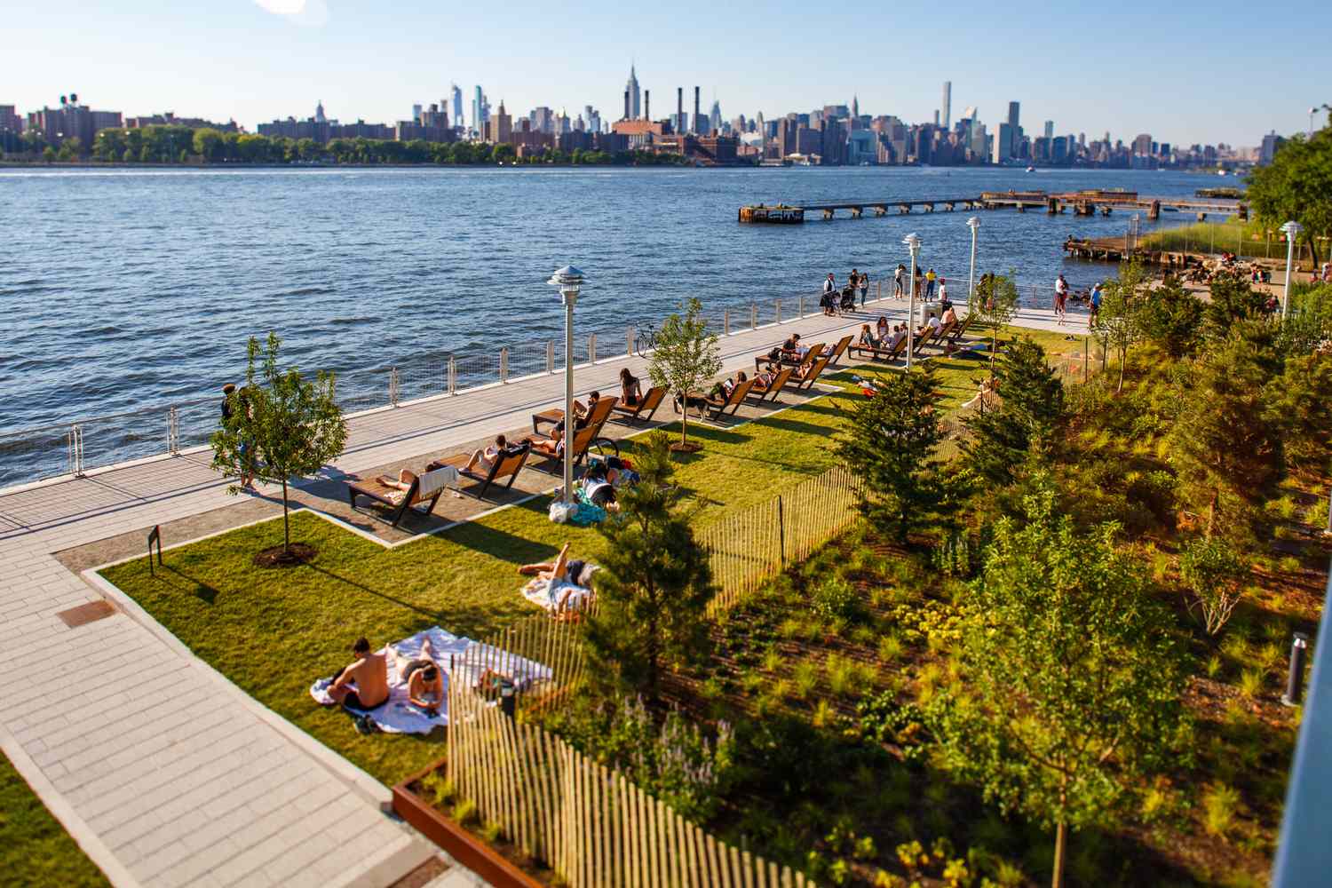7 Best Williamsburg Restaurants for NYC Foodies