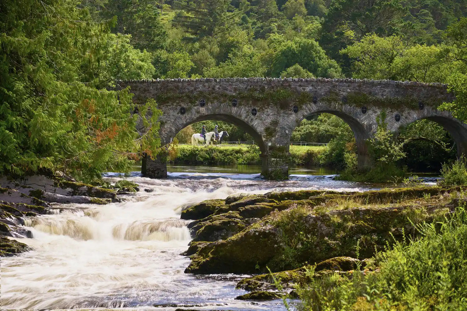 A person riding a horse across a scenic stone bridge over a river at Sheen Falls.