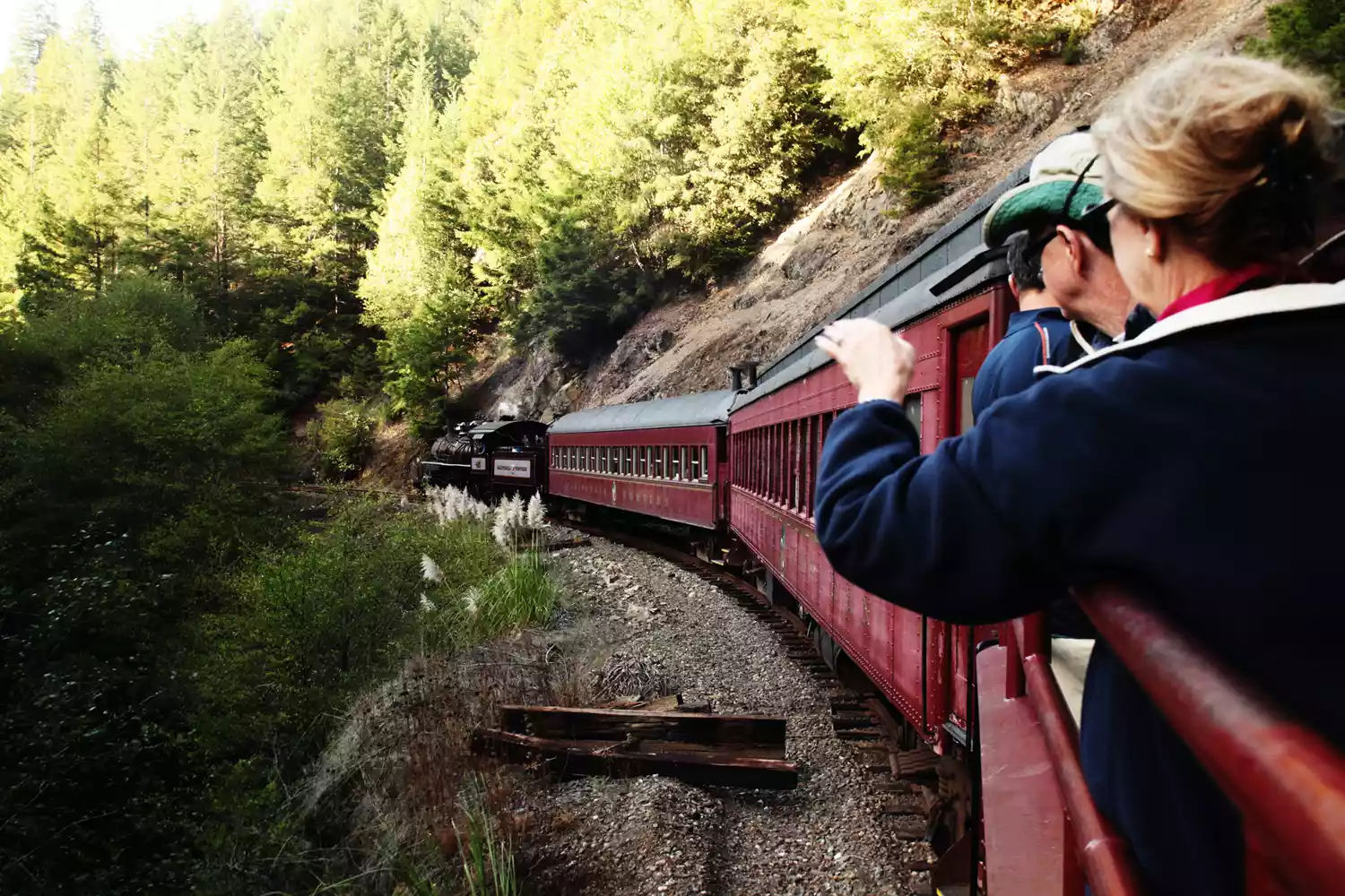 A vintage red Skunk Train engine traveling through a lush redwood forest canopy.