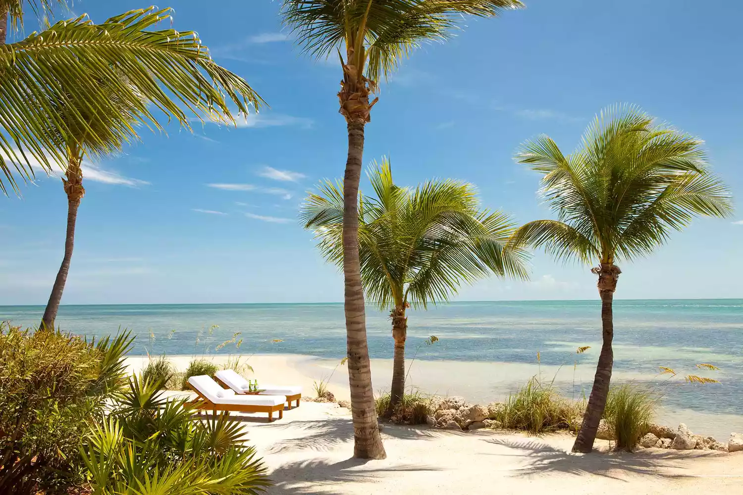 Beachfront view of Little Palm Island Resort & Spa with tropical foliage and clear water.