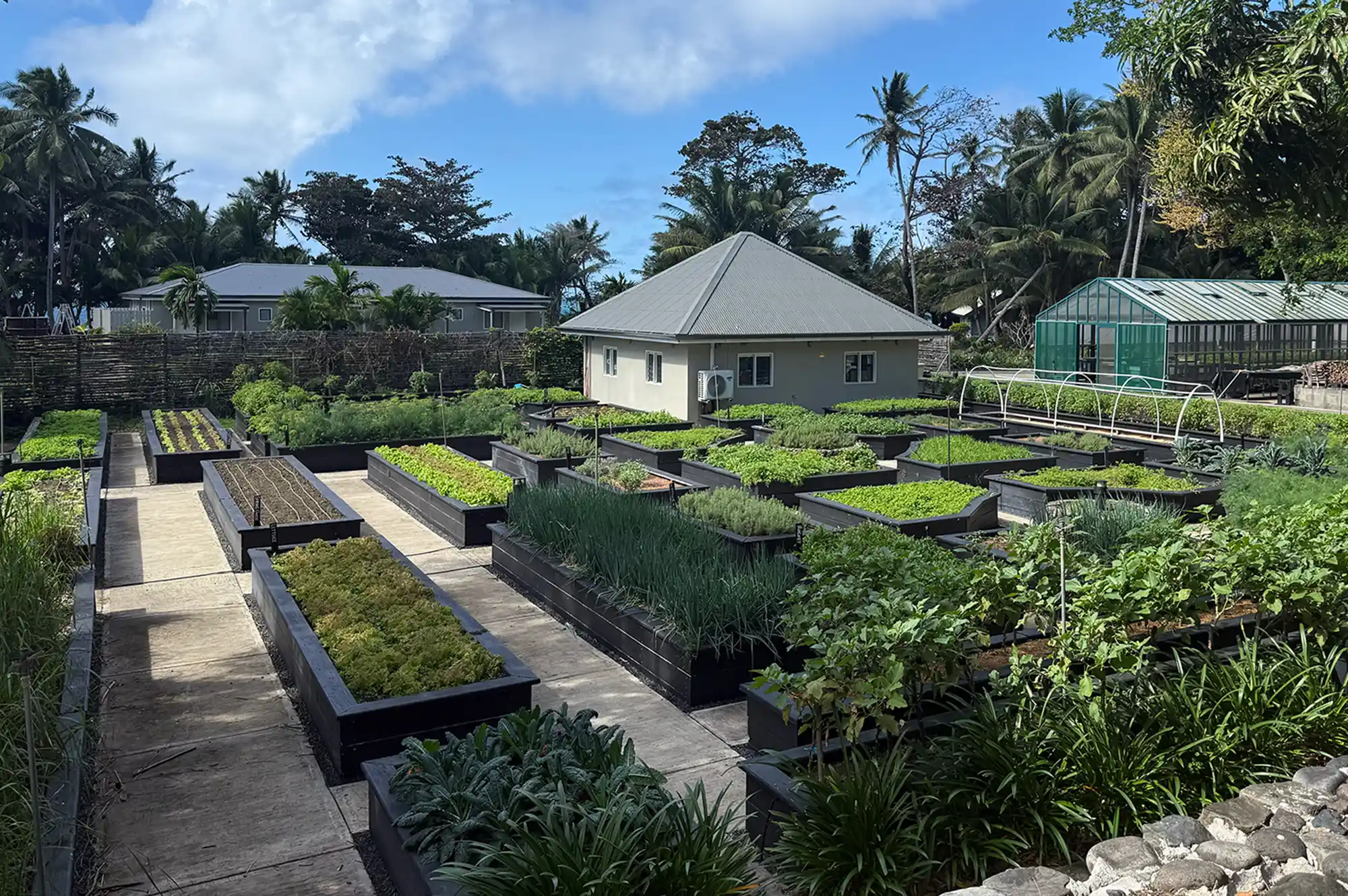 A sustainable garden setup at Kokomo Private Island featuring raised wooden garden beds and greenhouses for fresh produce.