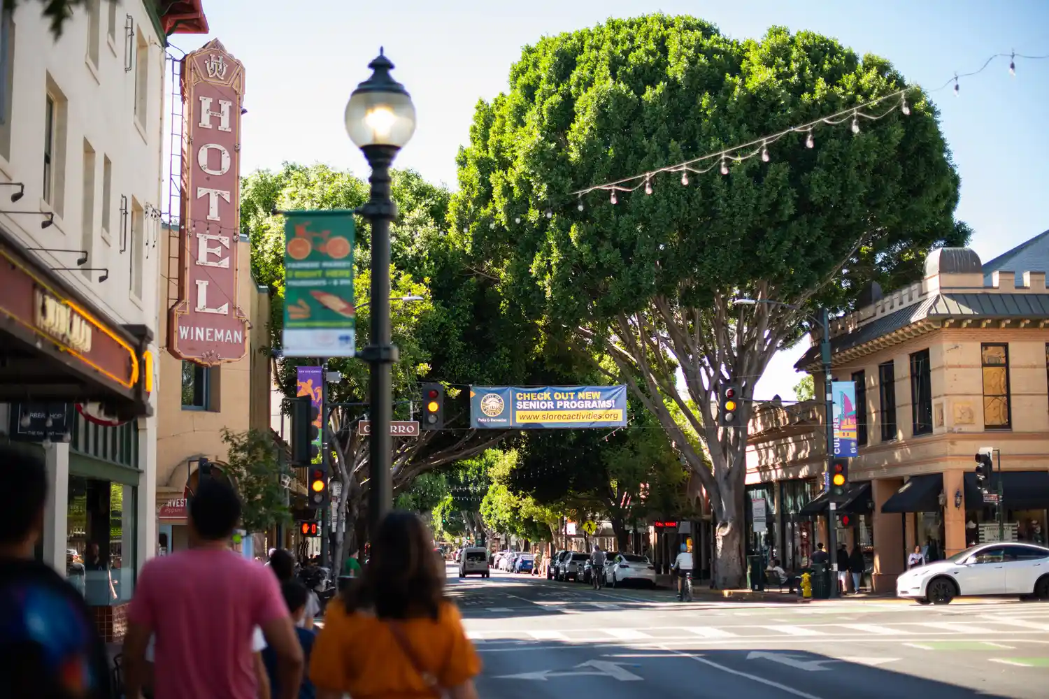 Sunlight filtering through trees on a downtown street in San Luis Obispo.
