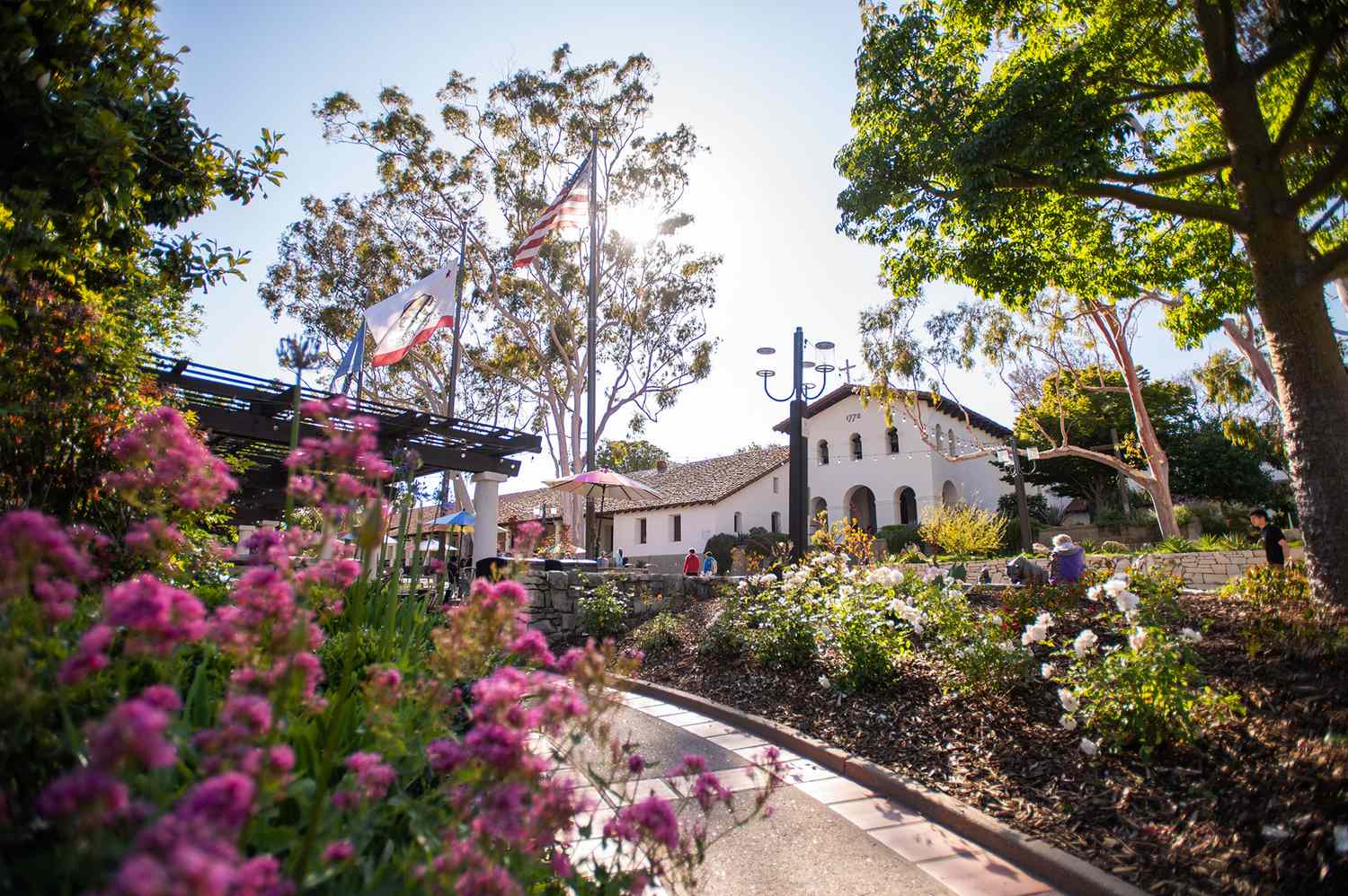 Ultimate San Luis Obispo Travel Guide: Top Things to Do