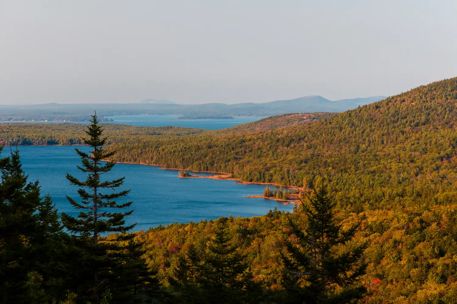 A scenic view of autumn foliage and forested hills on Mount Desert Island, Maine.