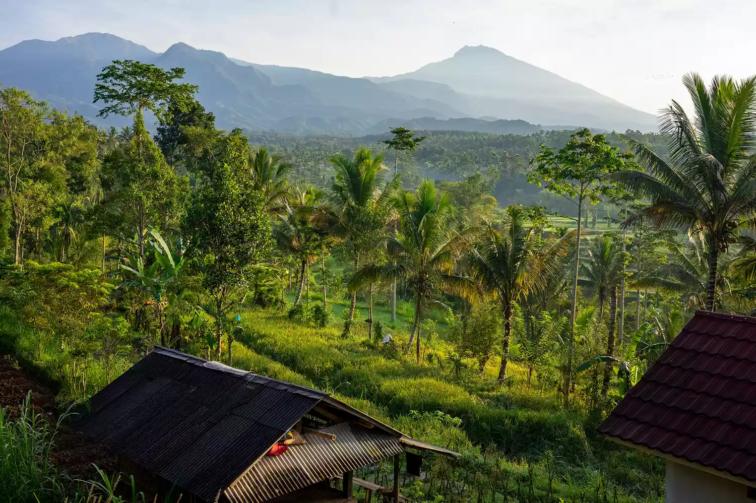 A traditional hut in a lush green valley with a mountain in the background on Lombok Island.